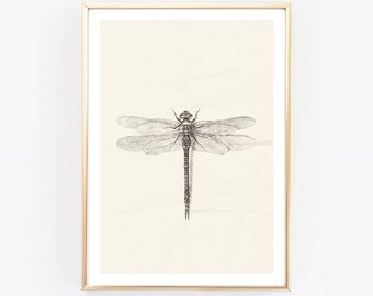 Dragonfly Print, Black and White, Insect Print, photo,Modern Art,Feather Fine Art, Scandinavian Wall Print, Scandinavian decor, monochrome