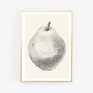 fruit pears art prints, vintage kitchen Decor,healthy food print, Gift Idea,Poster,Gift,food print,kitchen prints,kitchen decor zdjęcie 1