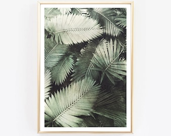 rustic leaf palm photo Botanical Print, Nordic Print,Modern Art, Flower Print, Scandinavian Wall Print, Flower photo, Scandinavian decor