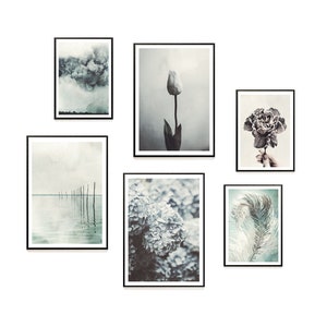 Peut inclure: Un mur de galerie avec six impressions encadr&eacute;es. Les impressions pr&eacute;sentent une vari&eacute;t&eacute; de sujets, notamment un ciel nuageux, une seule tulipe, un bouquet de fleurs, un hortensia, une plume et une vue sur un lac avec des poteaux en bois.