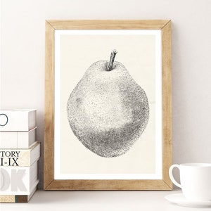 fruit pears art prints, vintage kitchen Decor,healthy food print, Gift Idea,Poster,Gift,food print,kitchen prints,kitchen decor zdjęcie 2