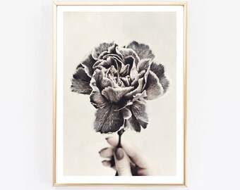 Monochrome Flower, carnation, Botanical Print, Nordic Print,Modern Flower Art, Flower Print, Scandinavian Wall Print, Flower photo,