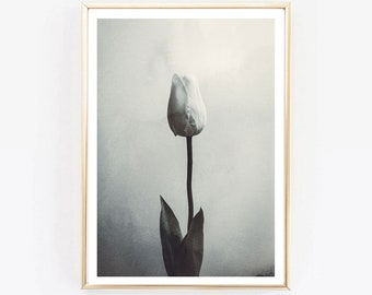 Monochrome tulip Flower, nature prints , Botanical Print, Nordic Print,Modern Flower Art, Flower Print,Scandinavian Wall Print,Flower photo,