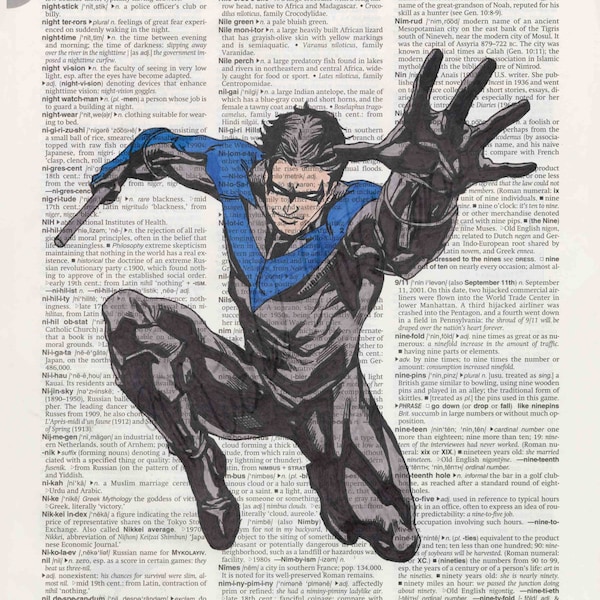DC comics Nightwing on dictionary page print