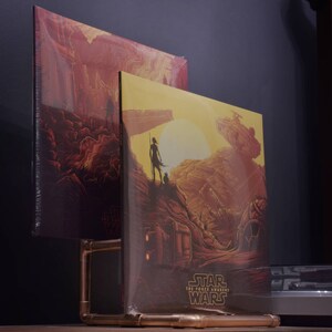 The Alpha Eurocent copper LP storage rack image 5