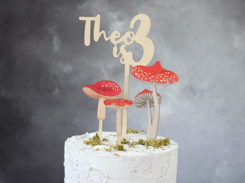 Personalised Toadstool Cake Topper Set Birthday Cake Toppers Wooden Cake Topper Birch Cake Topper image 7