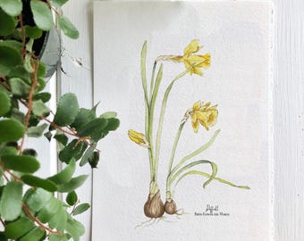 Giclée Print of Daffodils, March Birth Flowers, From Original Watercolor Painting