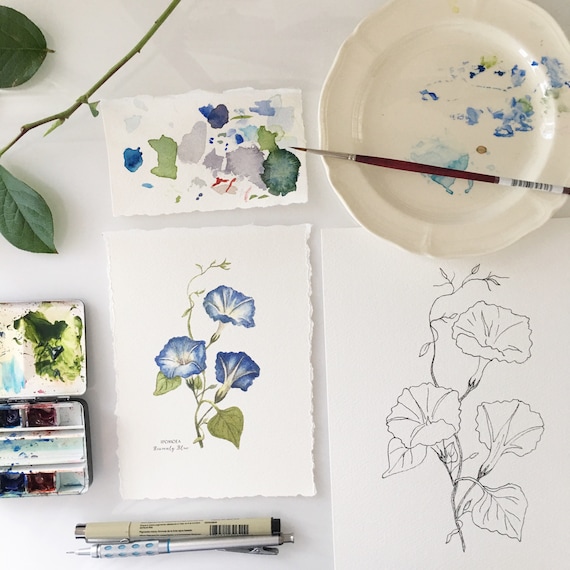 Blue Morning Glory Giclee Print: Botanical Watercolor Painting