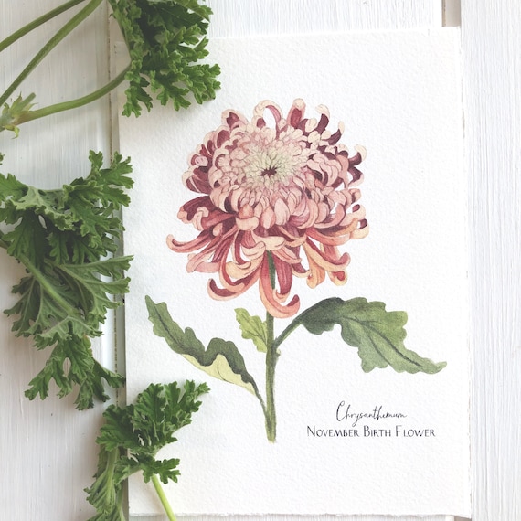 November Birth Flower Rust Chrysanthemum Giclee Print - Etsy