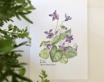 February Birth Flower, Violets, Giclee Print of an original watercolor painting.