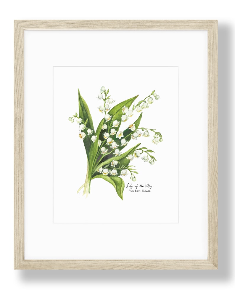 May Birth Flower, Lily of the Valley. Giclee Print of original watercolor in 3 sizes. Art Print 8X10 inches