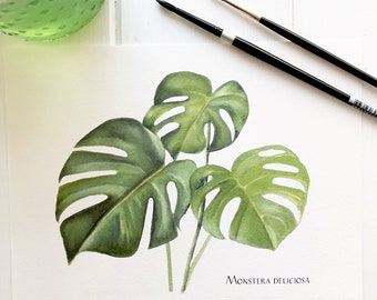 Giclée Print Reproduction of 3 Monstera Leaves Painted in Watercolor