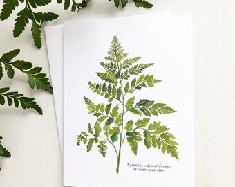 Leather Neck Fern Art Print in 4 Sizes