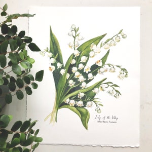 May Birth Flower, Lily of the Valley.  Giclee Print of original watercolor in 3 sizes.