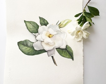 Gardenia Augusta. Giclée Print. White Gardenia. Botanical Painting. Arches Watercolor Paper