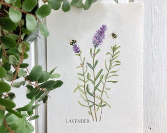 Giclée Print of Lavender, Botanical Style Herbal Prints, Print of a Watercolor Lavender  Painting