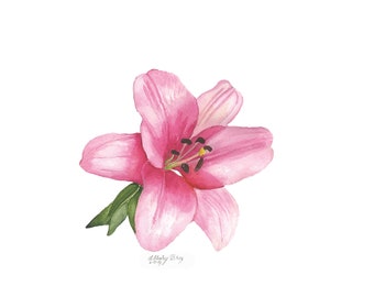 Original Painting of a Pink Lily Head