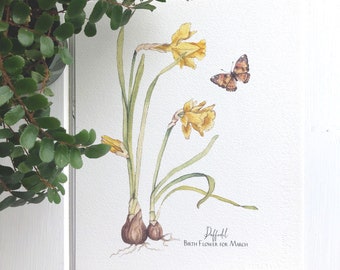 March Birth Flower, Daffodil with Bulb and Butterfly, Tête-à-tête Daffodil