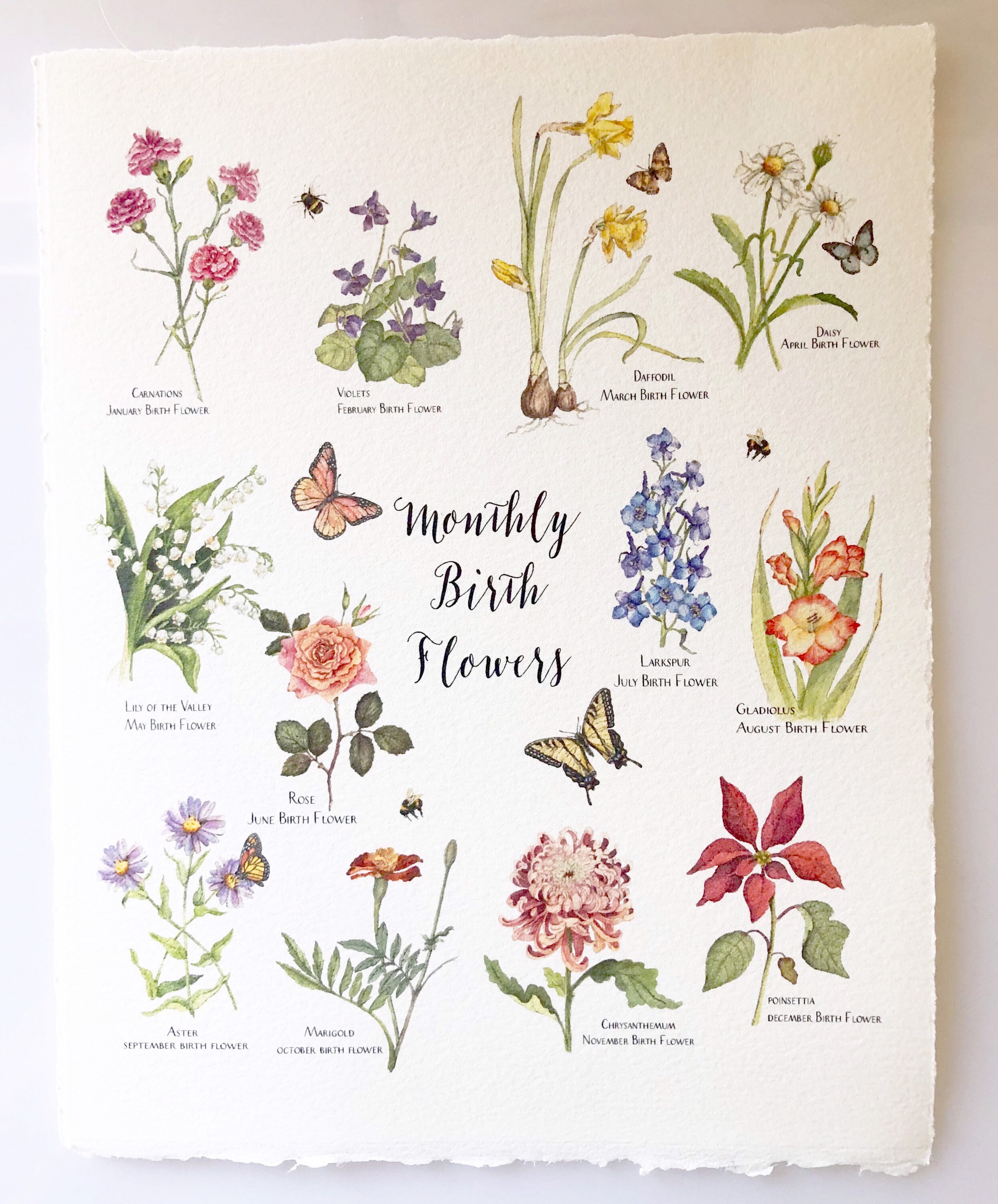 Watercolor Birth Flowers Birth Flowers Art Work Giclee Print Etsy