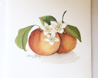 2 Oranges with Blossoms, Giclee Print of Oranges with Blossoms, Watercolor Art Print