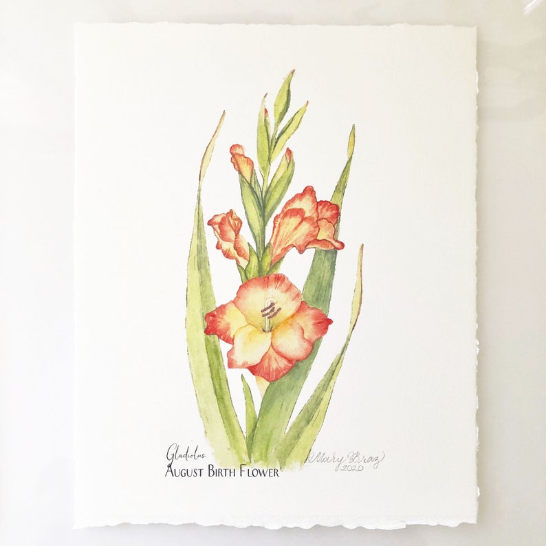 Gladiolus, August Birth Flower, Giclee Print, Botanical Art Print Art Print 5X7 inches