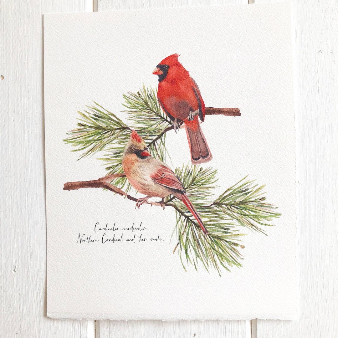 Cardinal Giclee Print: Original Watercolor Painting on Arches Paper - Etsy
