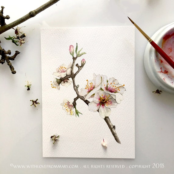 Almond Blossom Burst | Etsy