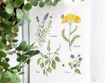 4 Herbs, Kitchen Wall Art, Watercolor Herbs in Bloom, Giclée Print