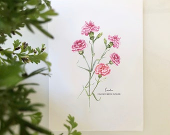 January Birth Flower, Pink Carnation Art Prints, Giclee Print of an Original Watercolor Painting