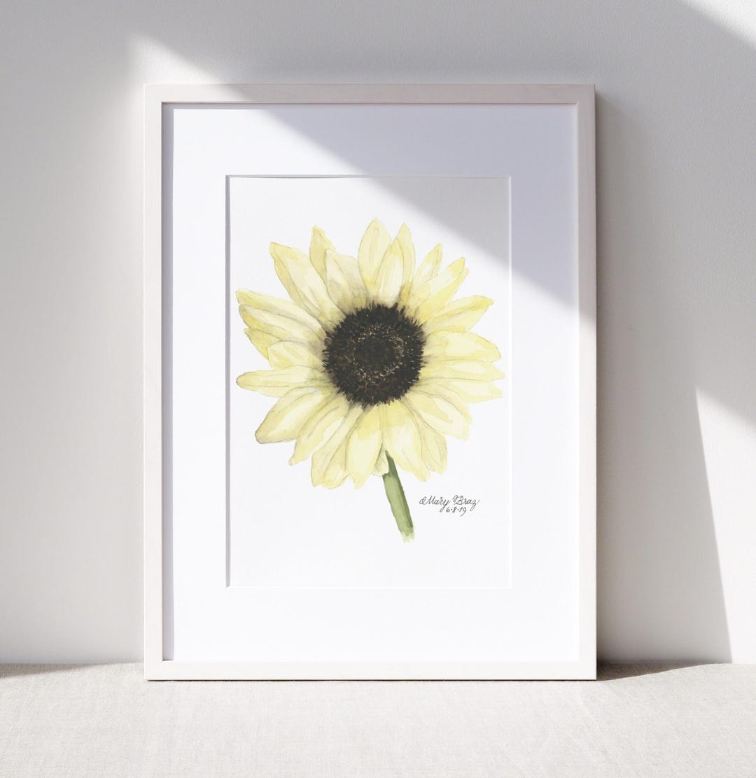 Italian White Sunflower Watercolor Painting Vanilla Yellow Floral Art Italian White Sunflower Watercolor Painting Vanilla Yellow Floral Art