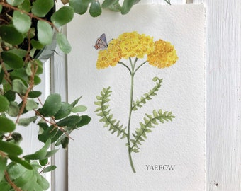 Giclee Print of Yellow Yarrow, Herbal Art Print