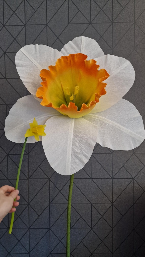 → View on Etsy: Giant daffodil 50cm wide freesatanding flower of crepe paper Wedding,baby shower or other event floral decoration Home decor Giant daffodil 50cm wide freesatanding flower of crepe paper Wedding,baby shower or other event floral decoration Home decor