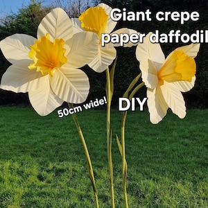 MODELLO! Petalo di fiore di narciso/narciso gigante in carta crespa formato A4 modello fai da te. Guarda prima il tutorial su YouTube!!!