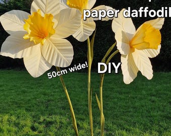 Solo modello! Modello fai da te per petali di narciso gigante in carta crespa, formato A4. Guarda prima il tutorial su YouTube!