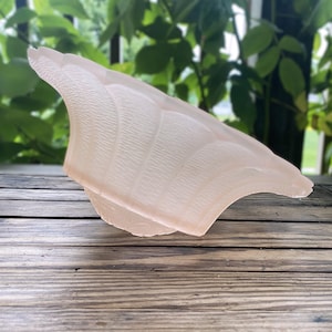May include: A pale pink, translucent glass light shade featuring a scalloped, shell-like design with a textured, ribbed surface. The bowl-shaped fixture has a wide, flared rim and a narrower base, showcasing a delicate, frosted appearance.