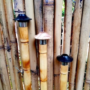 Ney flute / Turkish Ney flutes for  professional players!!