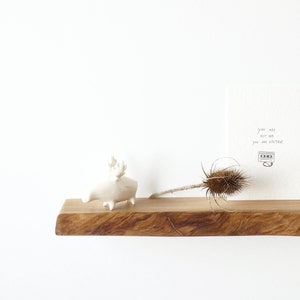Porte-cartes en bois flottant, étagère à cartes d'affirmation, étagère décorative à suspendre aveugle, présentoir à cartes en noyer, décor Live Edge, porte-cartes de tarot