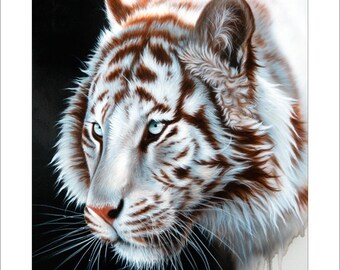 Tiger Art Print - "Of Light and Shadow" © Sandi Baker