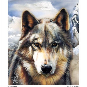 Wolf Totem Animal Wildlife Art &quot;Eshelokee&quot; Collectible Print © J W Baker