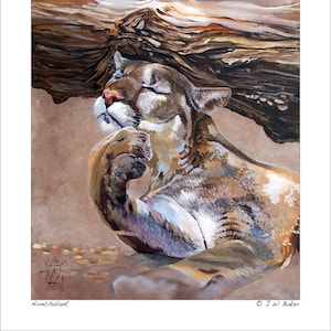 Cougar/Mountain Lion Artwork - “Nonchalant” - Wildlife Art Print