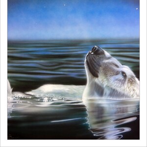 5x7 Note Card Set - &quot;Stargazer&quot; - (4) Note Cards Included