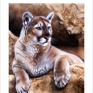 Cougar Art Print - &quot;The Source - Cougar&quot; © Sandi Baker