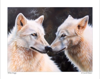 Wolf Art Print - "White Magic" © Sandi Baker