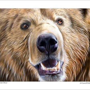 5x7 Note Card Set - &quot;Brown Bear&quot; - (4) Note Cards Included