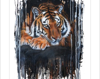 Tiger Splash © Sandi Baker