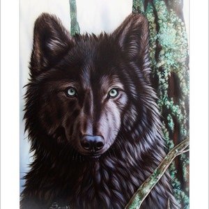 Wolf Art Print - "Black Wolf" © Sandi Baker