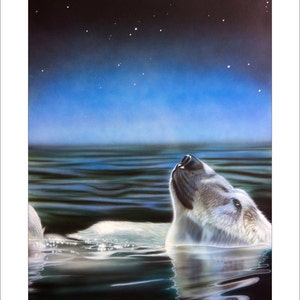 Polar Bear Art Print - "Stargazer" © Sandi Baker