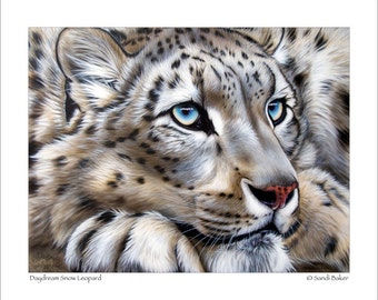 Druck - "Tagtraum Schnee Leopard" © Sandi Baker