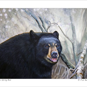 Black Bear Art Print - The Spring Bear - Wildlife Artwork Reproduction