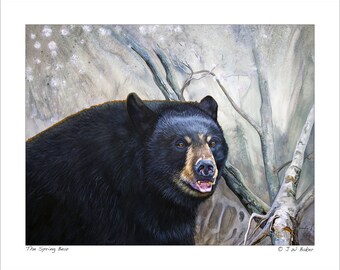 Stampa artistica di orso nero - L'orso primaverile - Riproduzione di opere d'arte sulla fauna selvatica
